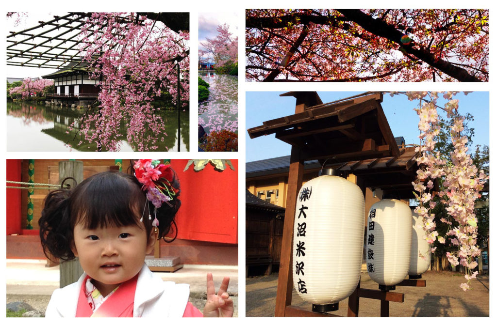 טיול מאורגן ליפן | למטייל ביפן לאביב היפני | יפן חוויה אחרת
