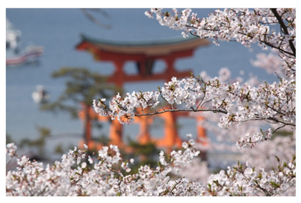 מיאג'ימה | יפן חוויה אחרת | Explore Japan | טיולים מאורגנים ליפן