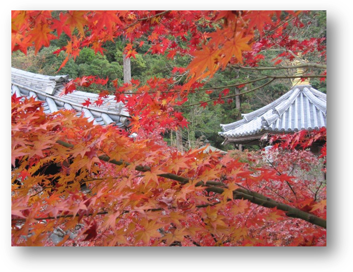 טיול מאורגן ליפן עם 'יפן חוויה אחרת - Explore Japan' למטייל במחוזות המערביים - סתיו במקדש