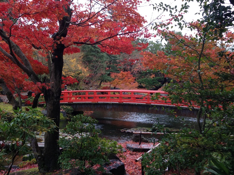 טיול מאורגן ליפן | יפן חוויה אחרת | Explore Japan | גן יושיאן
