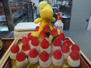 מאמר יפן באביב - בדגש חקלאות