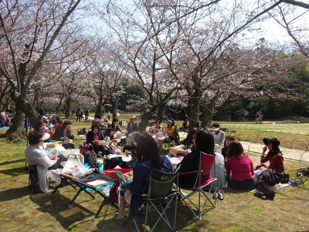 מאמר יפן - אביב בדגש חקלאות - רותי פוגאטש