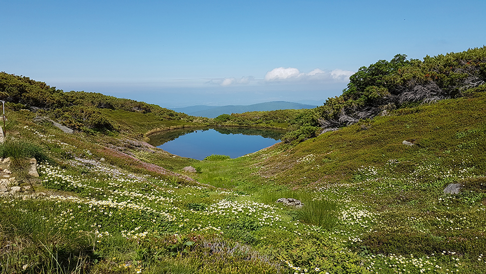 הוקאידו יפן | הוקאידו טיול | יפן חוויה אחרת | Explore Japan | טיולים מאורגנים ליפן