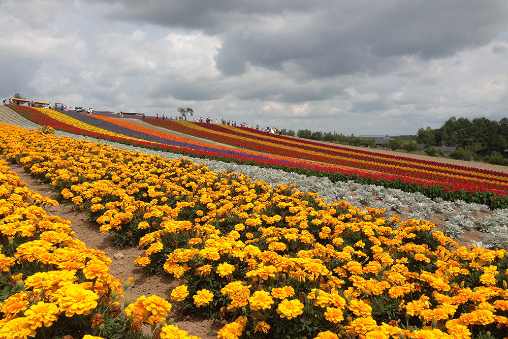 הוקאידו יפן | הוקאידו טיול | יפן חוויה אחרת | Explore Japan | טיולים מאורגנים ליפן