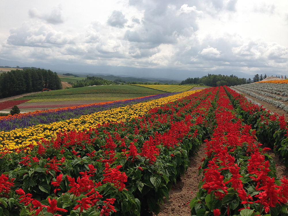 הוקאידו יפן | הוקאידו טיול | יפן חוויה אחרת | Explore Japan | טיולים מאורגנים ליפן