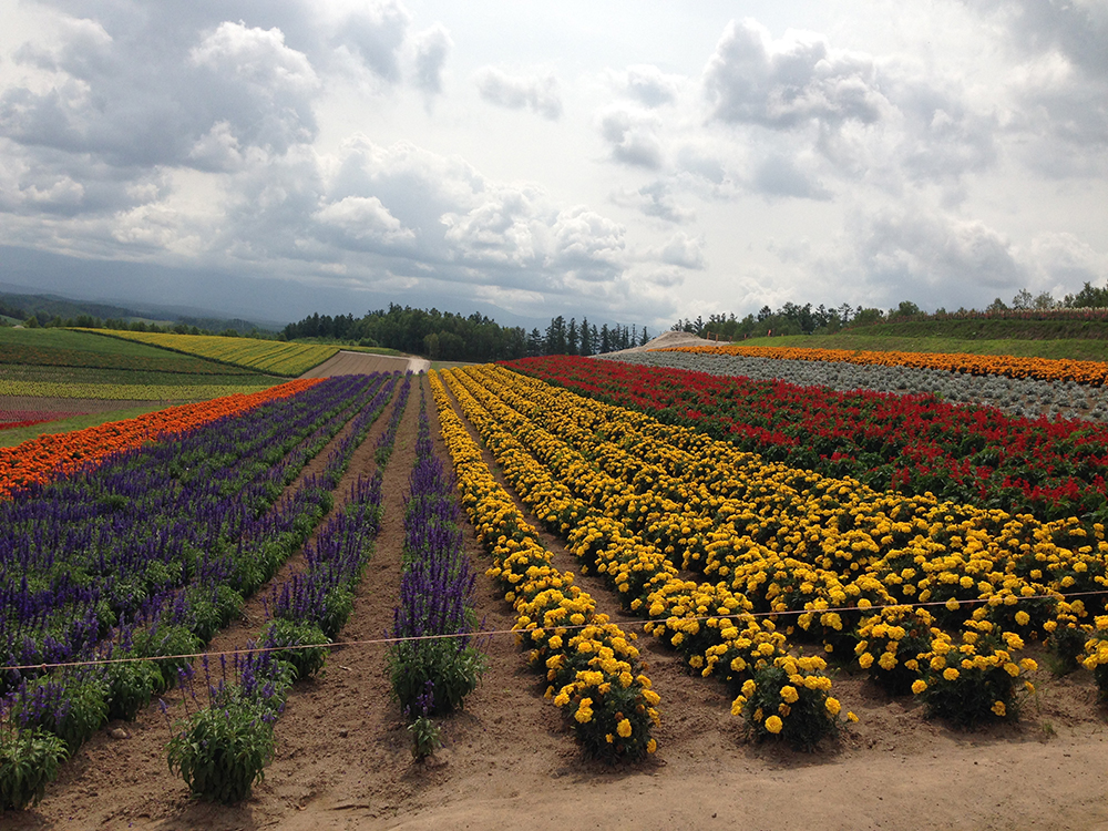 הוקאידו יפן | הוקאידו טיול | יפן חוויה אחרת | Explore Japan | טיולים מאורגנים ליפן