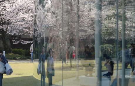 8.6.2020 | טבע ואדם ביפן: תרבות יפן כתבנית נוף הולדתה | אדר' אריה קוץ