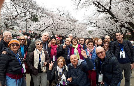 טיול אביב ליפן – מרץ אפריל 2019 | אנשי סאקורה וו'או ווא'ו, חוויות ותודות​