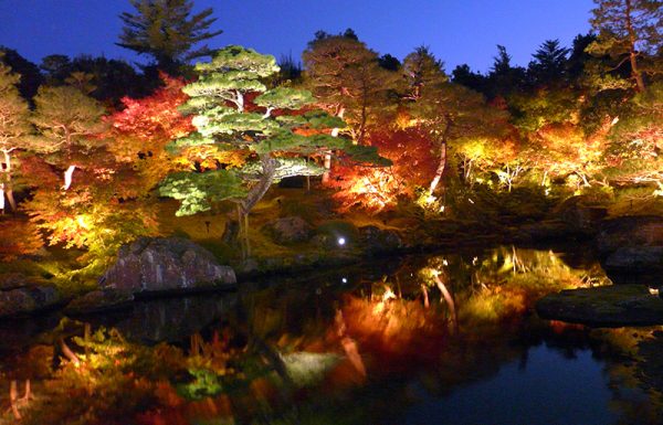 16 בנובמבר עד 2 בדצמבר 2022 | מסע עומק להוויה היפנית בשיא צבעי השלכת בשילוב מחוזות מערביים נעלמים ואי האומנויות נאושימה
