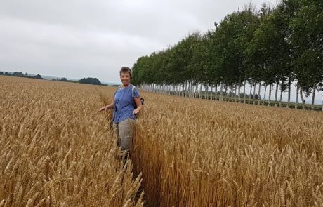 טיול יפן להוקאידו – 2018  | מוניקה צין