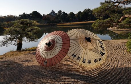 5.10.20 | 'בנתיבי הגן היפני' – אסתטיקה, זן והתבוננות מדיטטיבית.   | ד״ר גלית אבימן